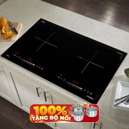 bếp 2 từ